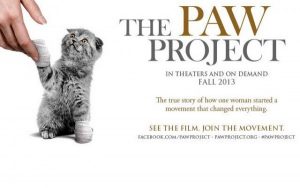 paw-project--600x375